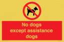 no-dogs-except-assistance-dogs~